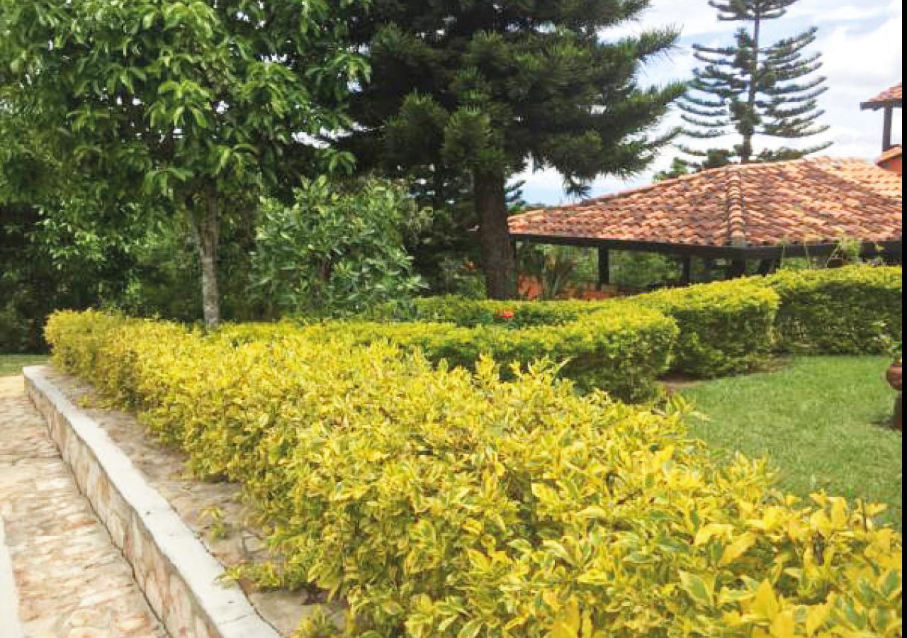 לוס סאנטוס Hotel Cristo Rey Campestre מראה חיצוני תמונה